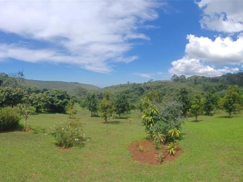 Small holding on Soutpansberg with Macadamia, Guava and Avocado trees. - Photo 2