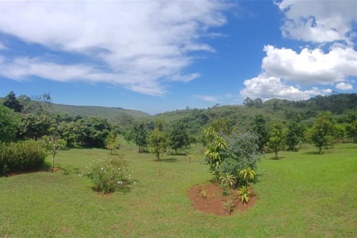 Small holding on Soutpansberg with Macadamia, Guava and Avocado trees. - Photo 2