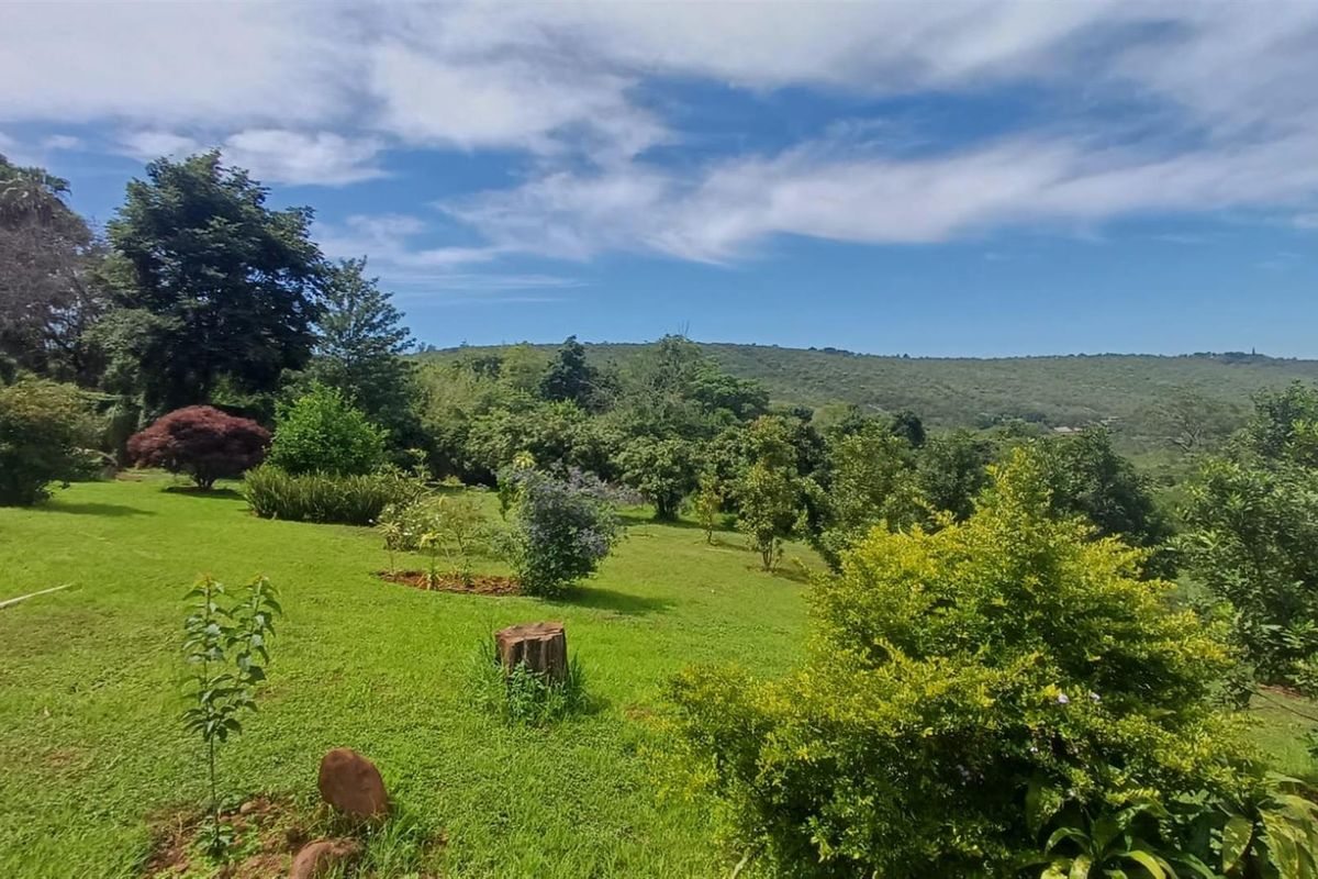 Small holding on Soutpansberg with Macadamia, Guava and Avocado trees. - Photo 3