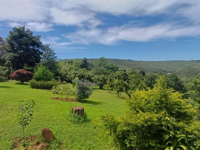 Small holding on Soutpansberg with Macadamia, Guava and Avocado trees. - Photo 3