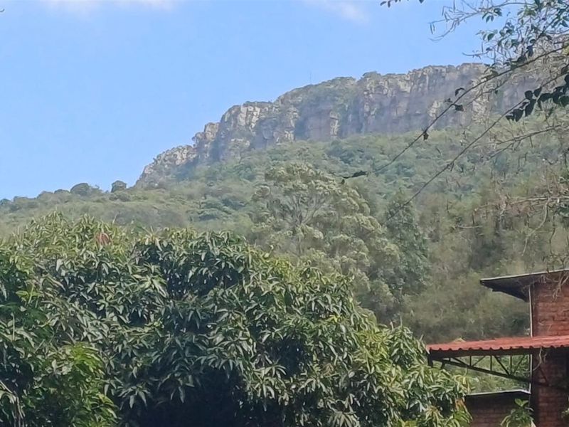 Small holding on Soutpansberg with Macadamia, Guava and Avocado trees. - Photo 5