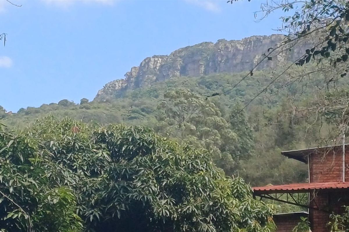 Small holding on Soutpansberg with Macadamia, Guava and Avocado trees. - Photo 5