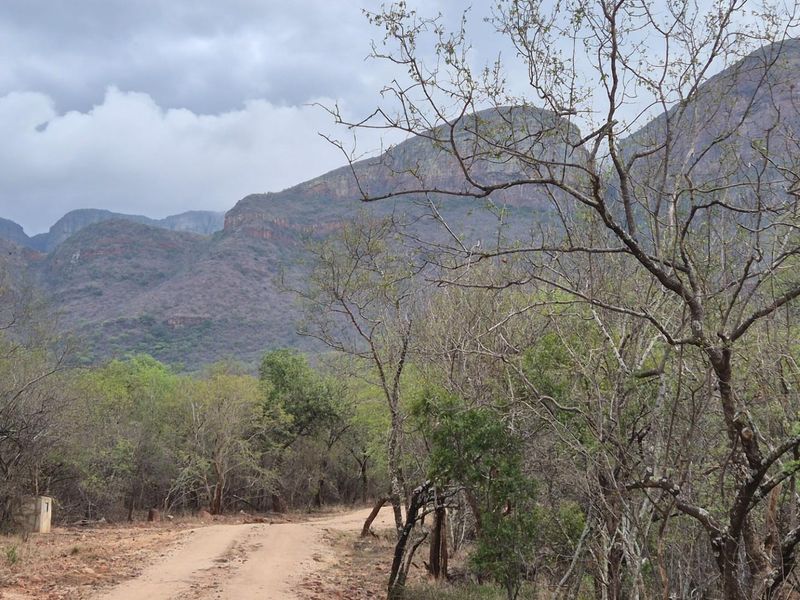 A Jewel of a Plot For Sale in Canyon Game Reserve, Hoedspruit - Photo 2