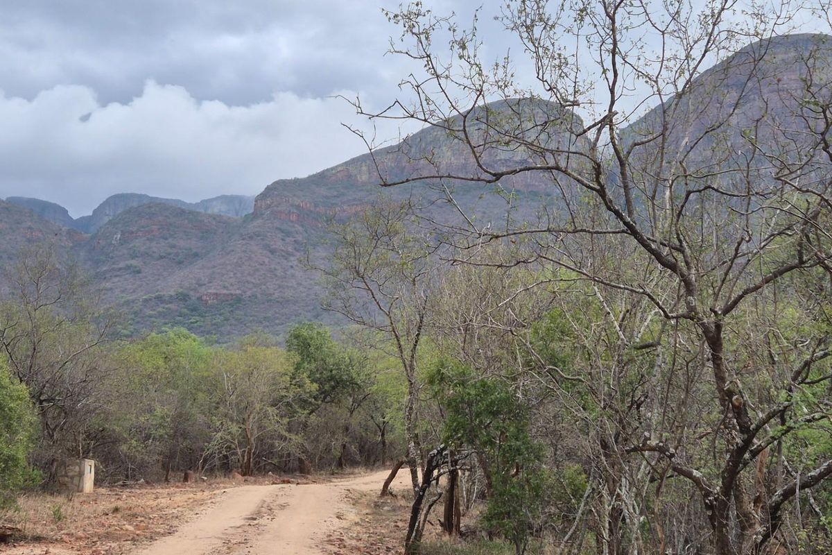 A Jewel of a Plot For Sale in Canyon Game Reserve, Hoedspruit - Photo 2