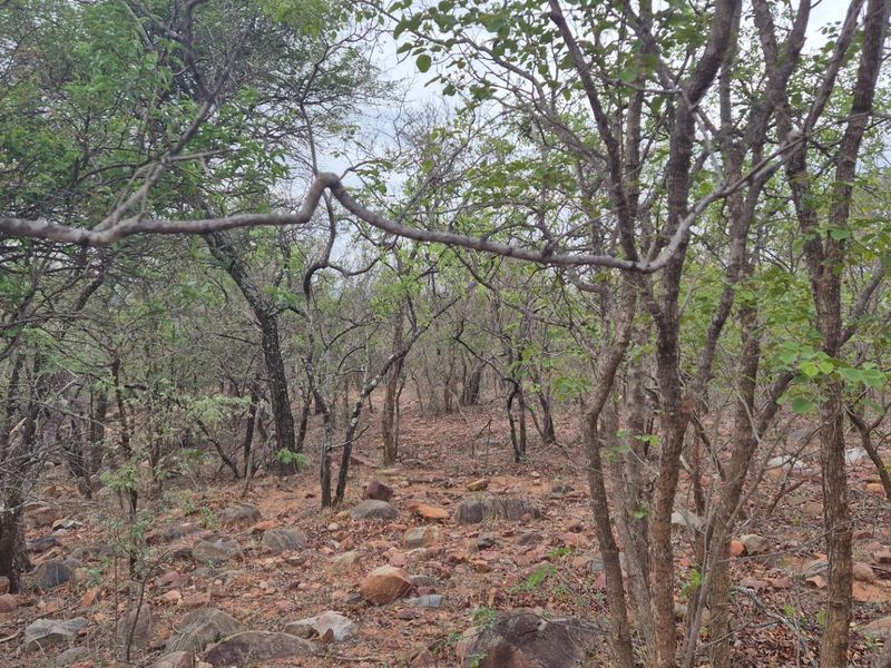 A Jewel of a Plot For Sale in Canyon Game Reserve, Hoedspruit - Photo 9