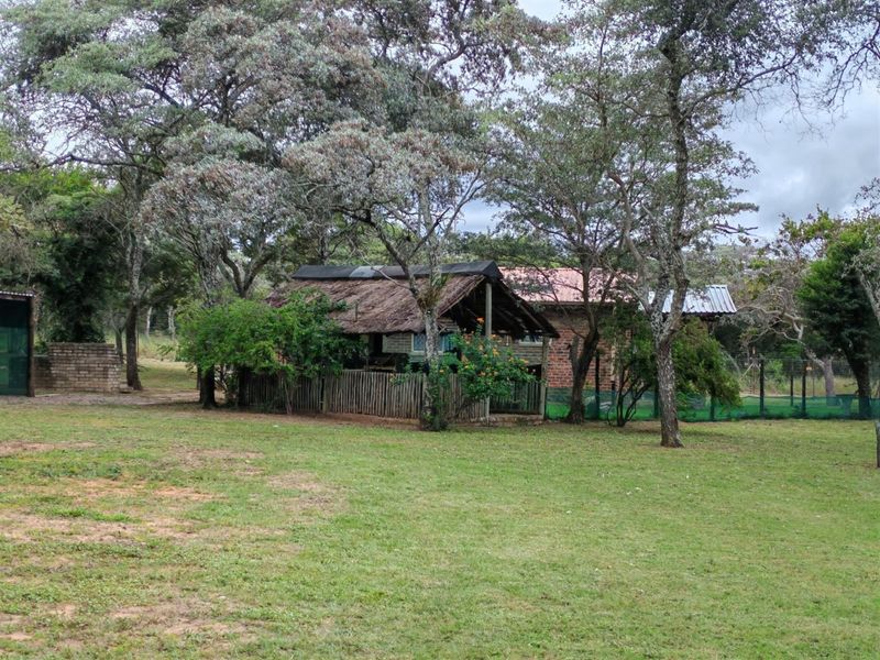 21.4-Hectare Smallholding with Active Hospitality Operation in Bela Bela, Limpopo for sale - Photo 6