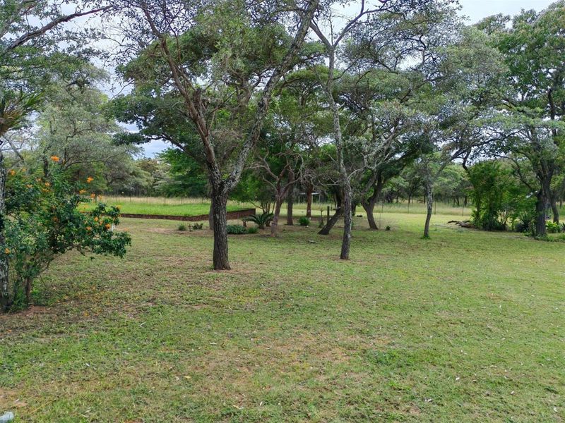 21.4-Hectare Smallholding with Active Hospitality Operation in Bela Bela, Limpopo for sale - Photo 7