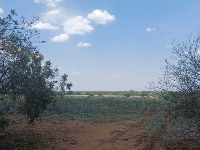Small and cash crops farm near town . - Photo 6