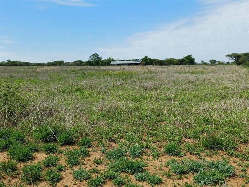 Small and cash crops farm near town . - Photo 4