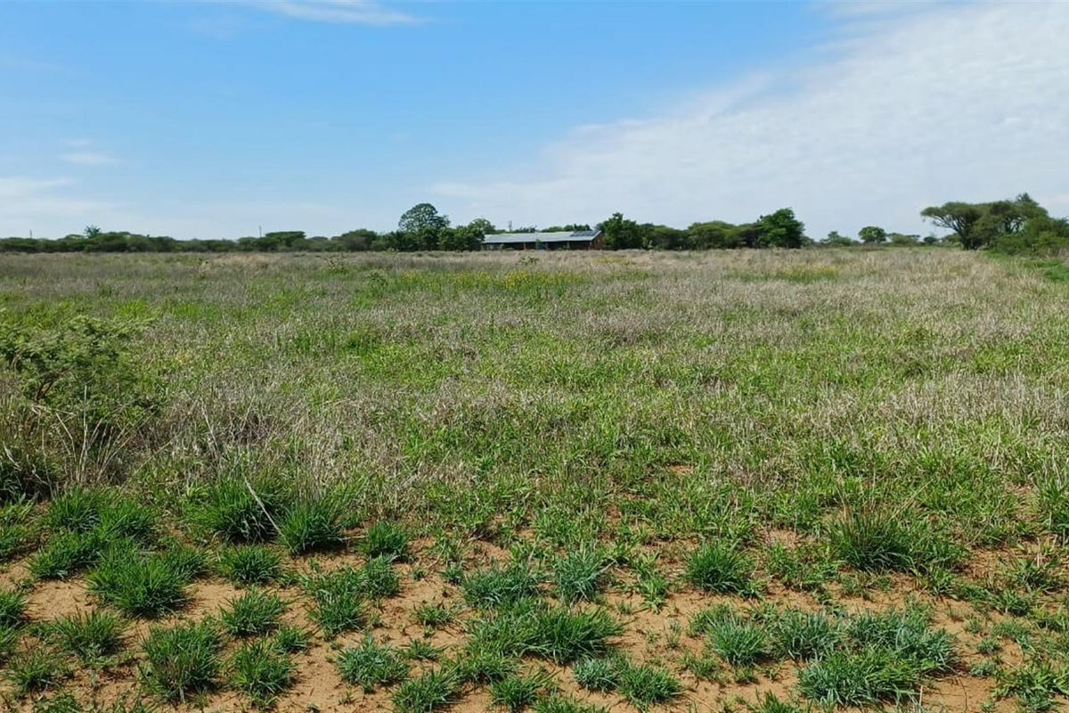 Small and cash crops farm near town . - Photo 4