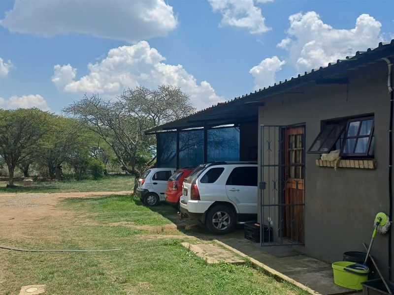 Small and cash crops farm near town . - Photo 10
