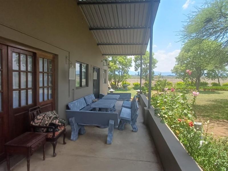 Small and cash crops farm near town . - Photo 7