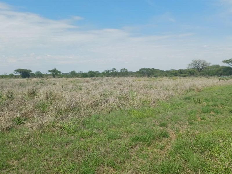 Small and cash crops farm near town . - Photo 5