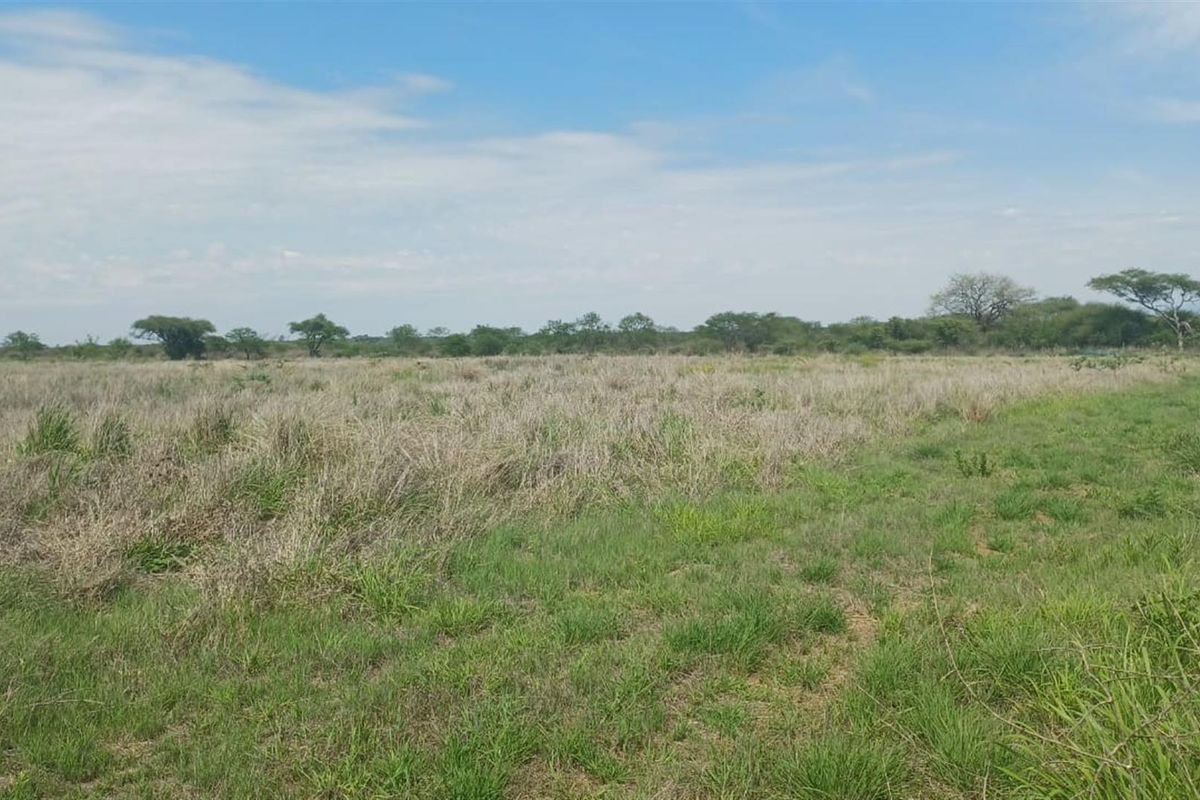 Small and cash crops farm near town . - Photo 5