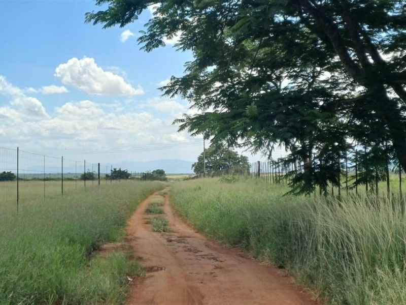Small and cash crops farm near town . - Photo 2