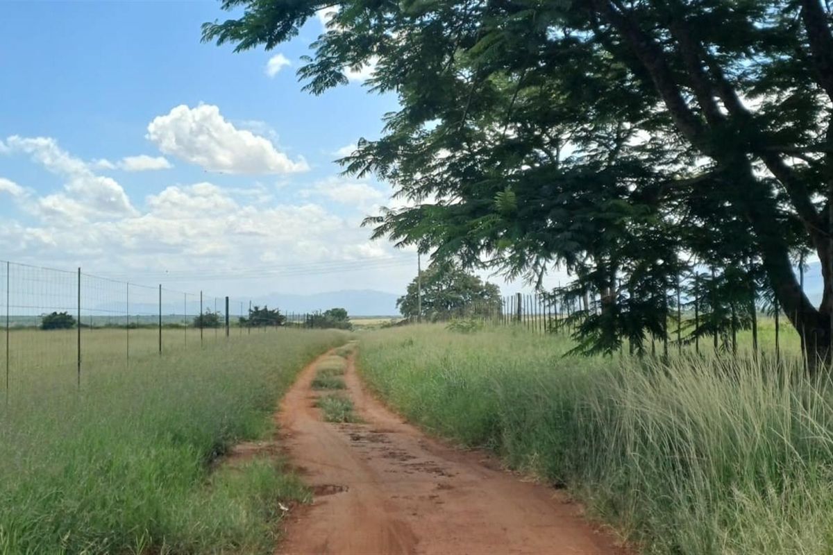 Small and cash crops farm near town . - Photo 2