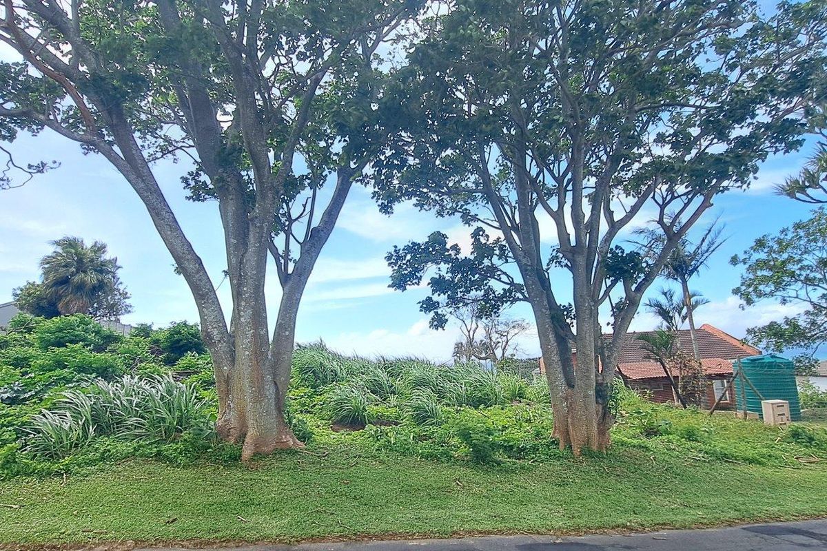 Elevated Stand With Sea Views For Sale in Doc Wilson Point, Port Edward, KwaZulu Natal - Photo 2