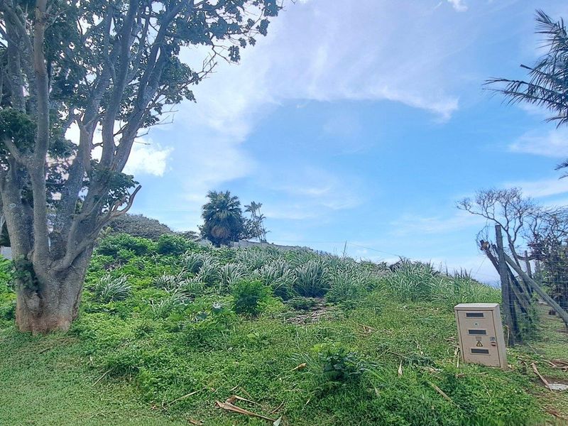 Elevated Stand With Sea Views For Sale in Doc Wilson Point, Port Edward, KwaZulu Natal - Photo 7