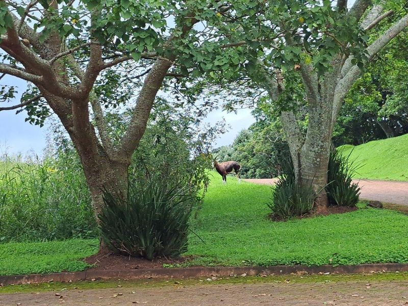 Vacant Land For Sale in Ekubo Coastal Estate, Port Edward, KwaZulu Natal - Photo 7