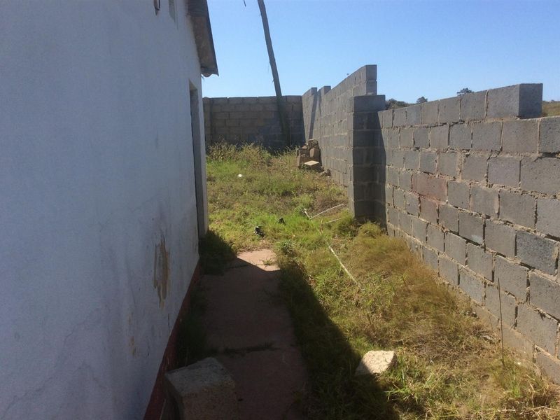 A narrow rear exterior area featuring a concrete block boundary wall, paved walkway, and significant overgrown vegetation requiring maintenance.