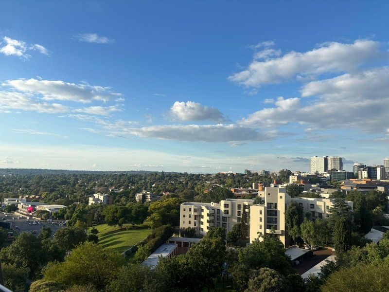 The Ideal Investment in Sandton Central - Photo 6