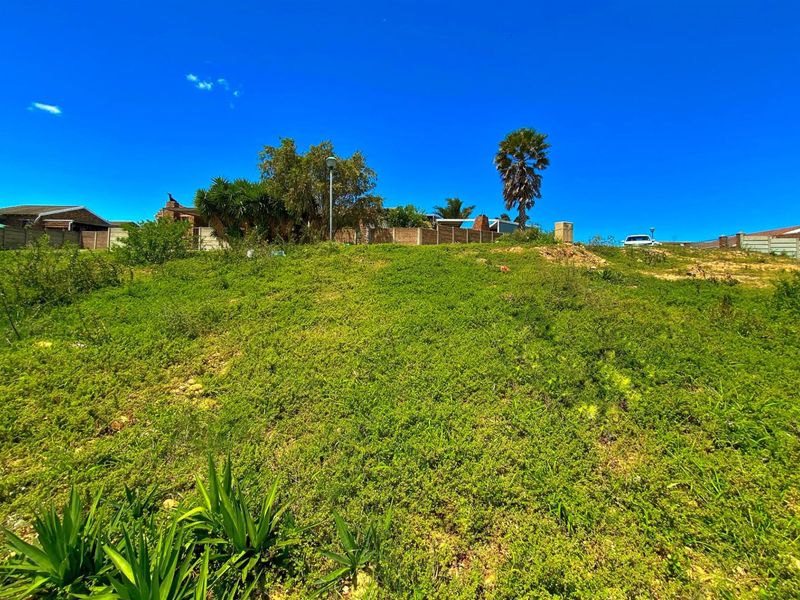 Vacant Land with Stunning Views | Listed by Danté Koen, eXp Realty - Photo 5