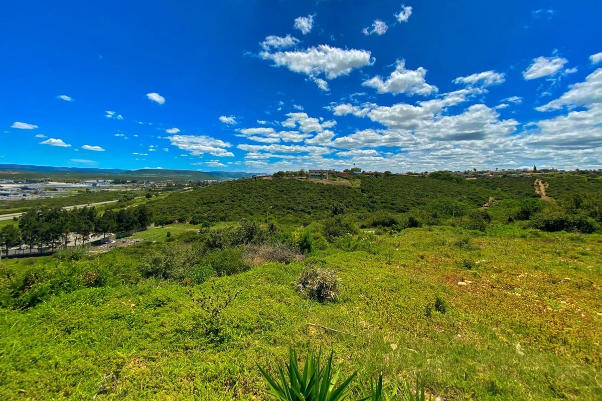 Vacant Land with Stunning Views | Listed by Danté Koen, eXp Realty - Photo 4