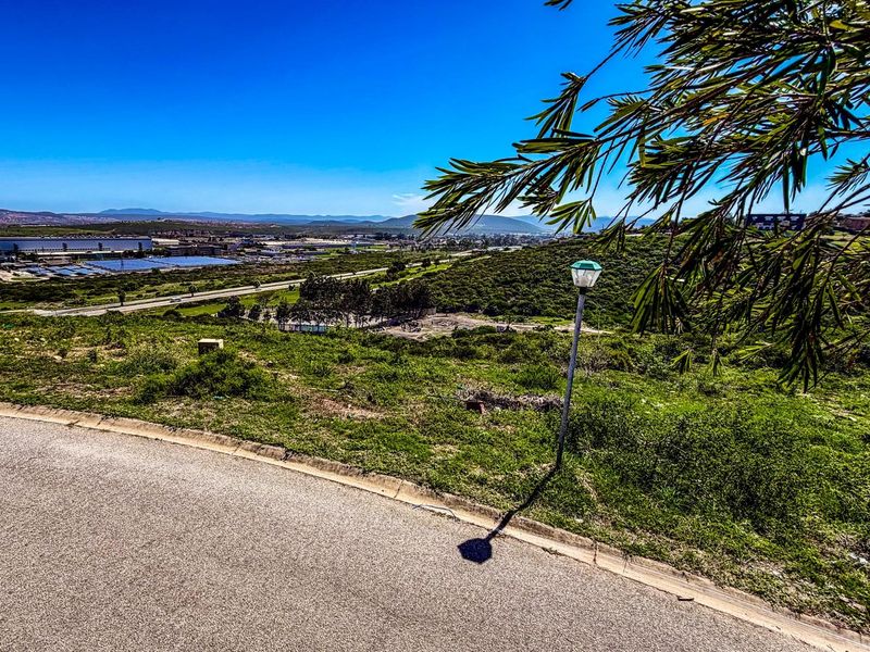 A view of the vacant residential land featuring natural vegetation, a paved road edge, and a street lamp overlooking the surrounding landscape.