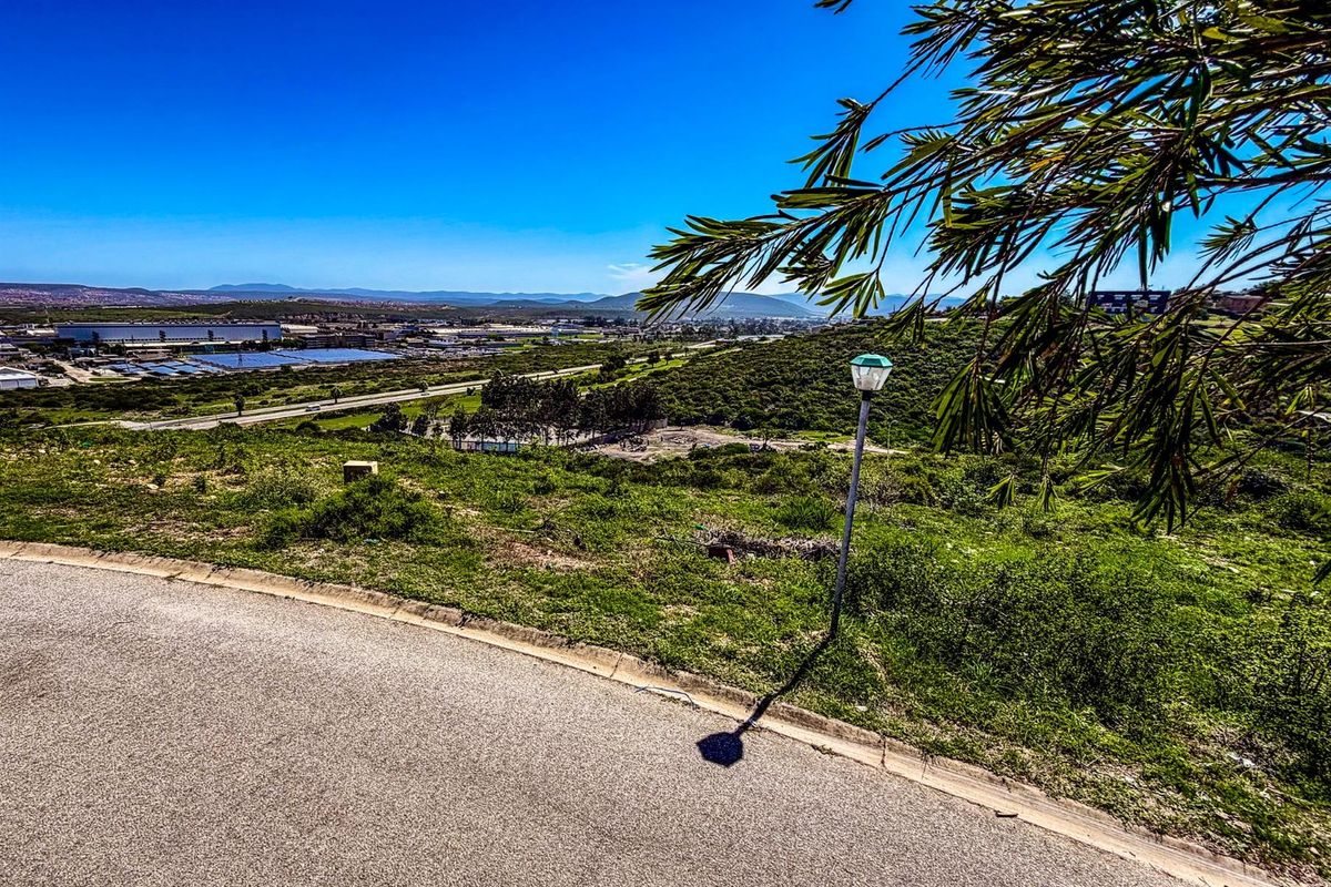 A view of the vacant residential land featuring natural vegetation, a paved road edge, and a street lamp overlooking the surrounding landscape.