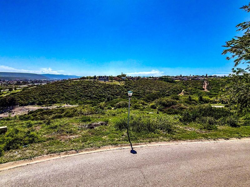 A view of the vacant residential land featuring natural vegetation, a paved road frontage, and a street light pole.