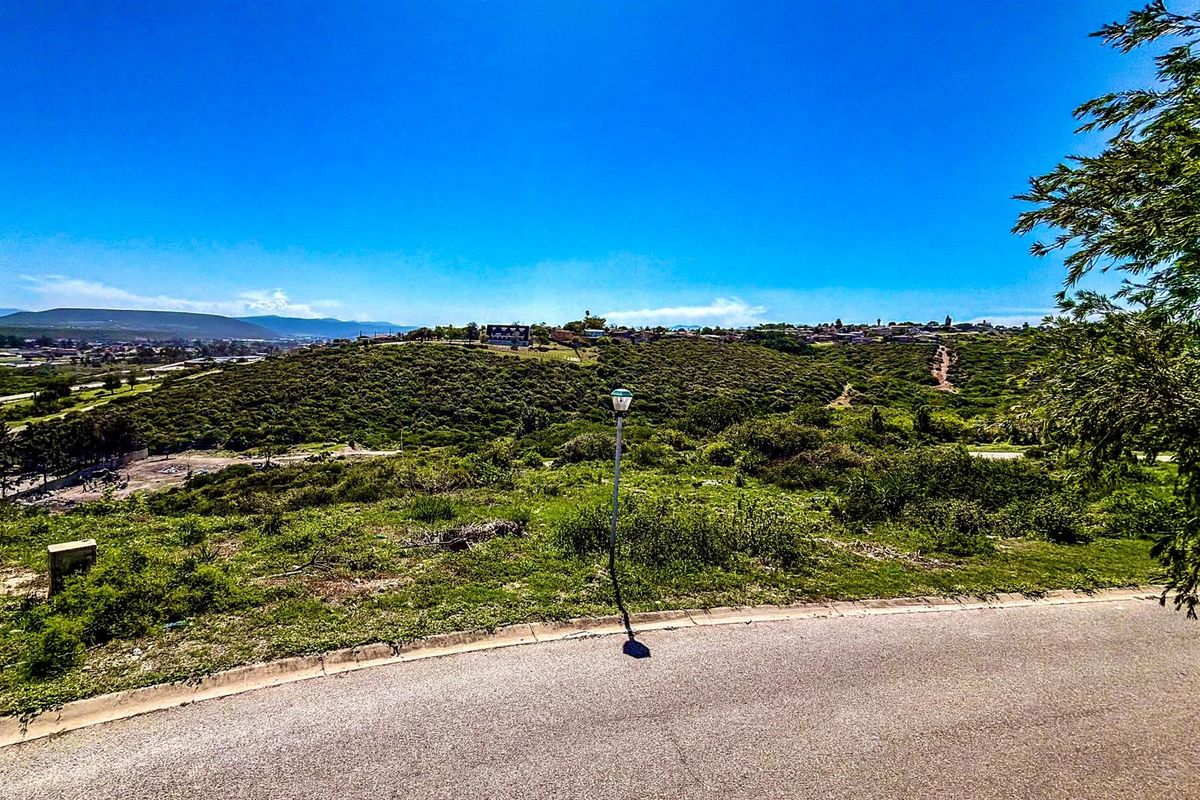 A view of the vacant residential land featuring natural vegetation, a paved road frontage, and a street light pole.