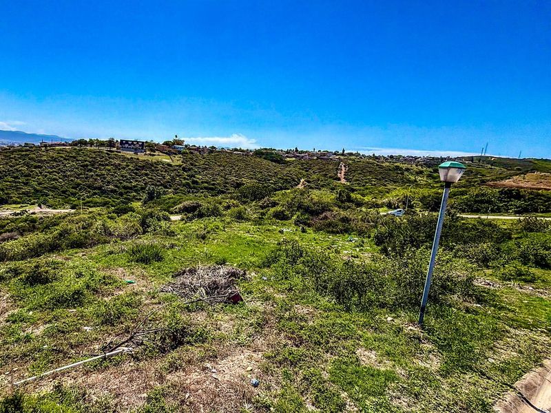 A view of the vacant residential land featuring natural vegetation and a street lamp, overlooking the surrounding landscape.