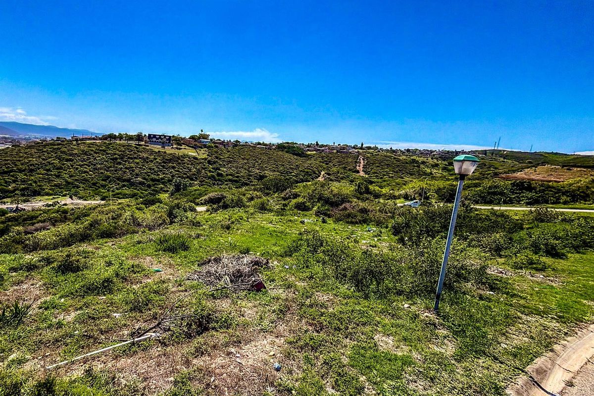 A view of the vacant residential land featuring natural vegetation and a street lamp, overlooking the surrounding landscape.
