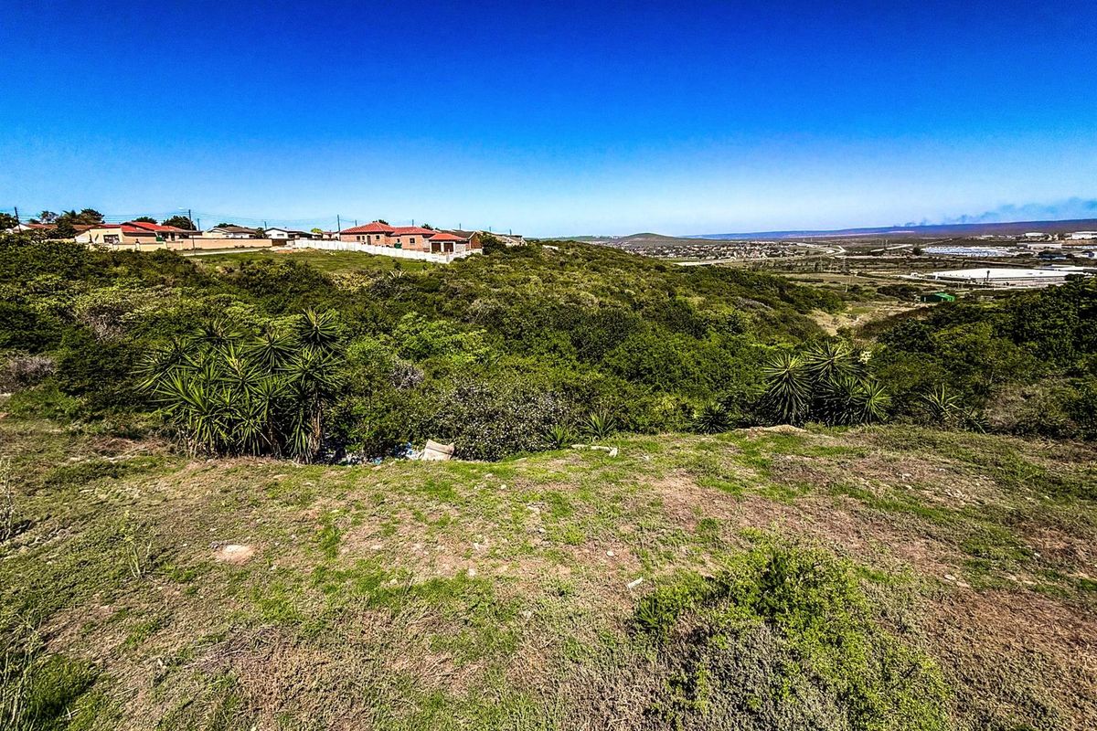 Expansive Plot with Breathtaking Views | Listed by Danté Koen, eXp Realty - Photo 2