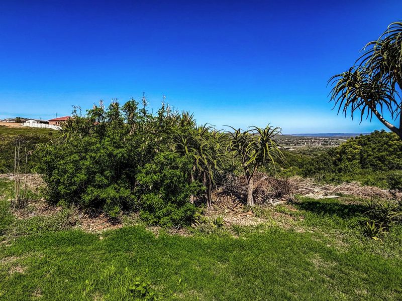 Expansive Plot with Breathtaking Views | Listed by Danté Koen, eXp Realty - Photo 6