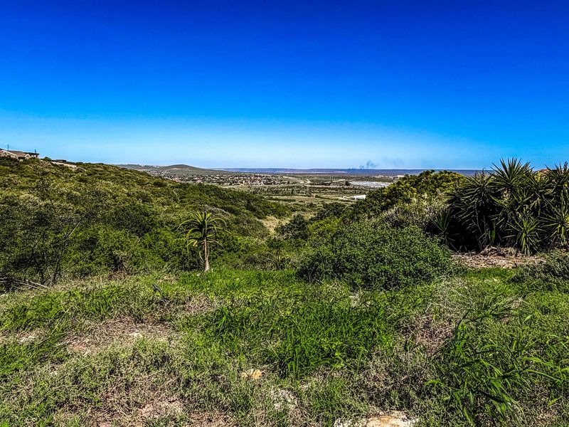 A scenic view overlooking a natural landscape with rolling hills and native vegetation, showcasing the expansive outlook from the vacant residential land.