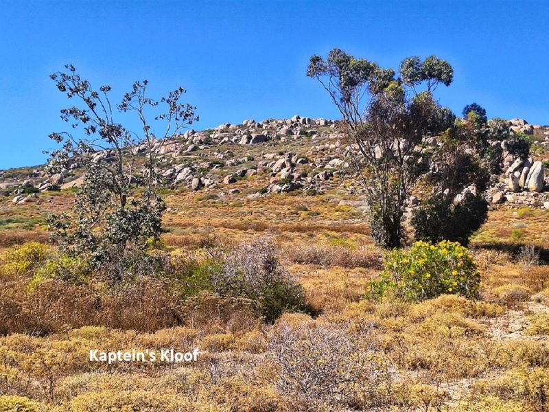 Your own Coastal Haven in Kaptein’s Kloof - Photo 4