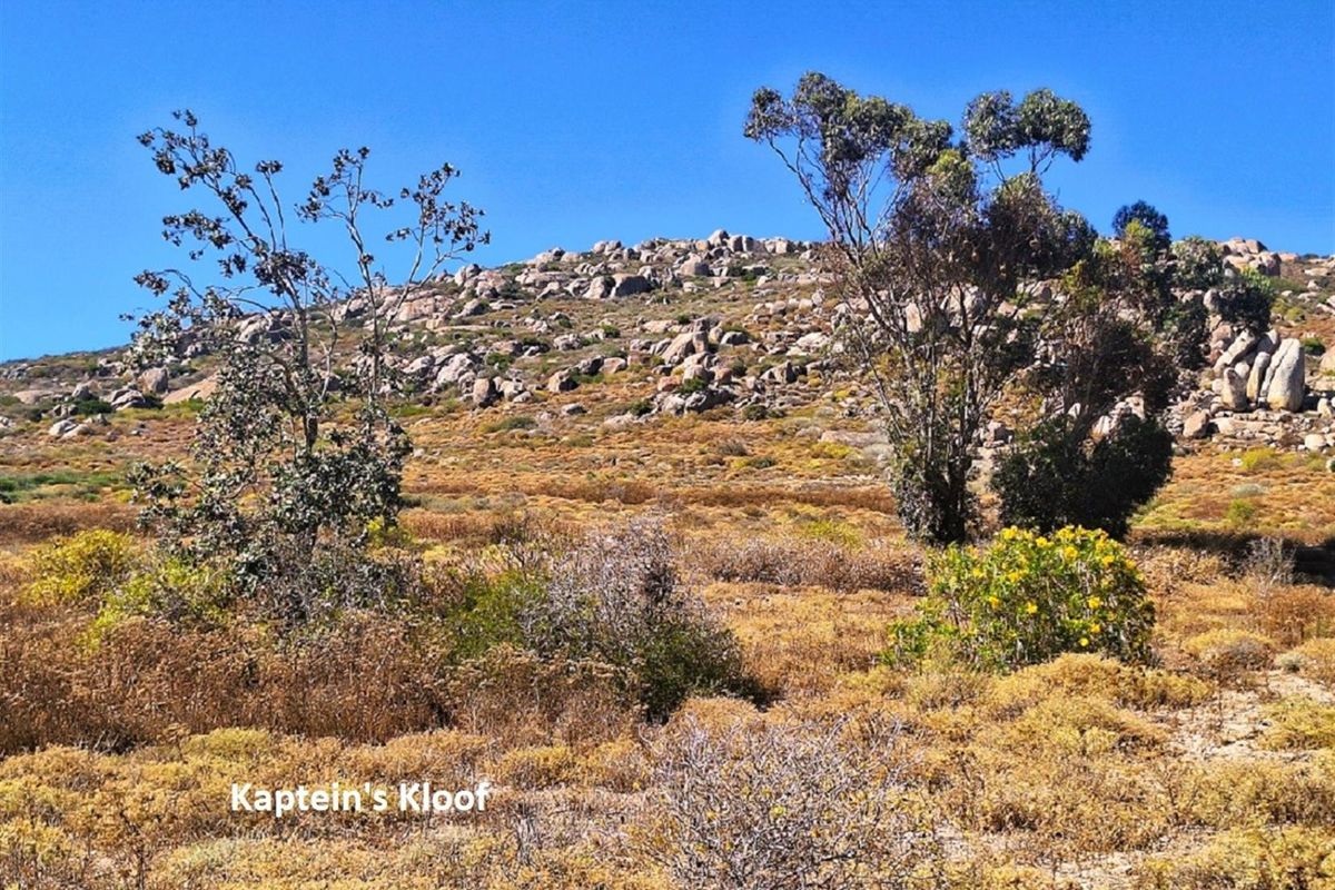 Your own Coastal Haven in Kaptein’s Kloof - Photo 4