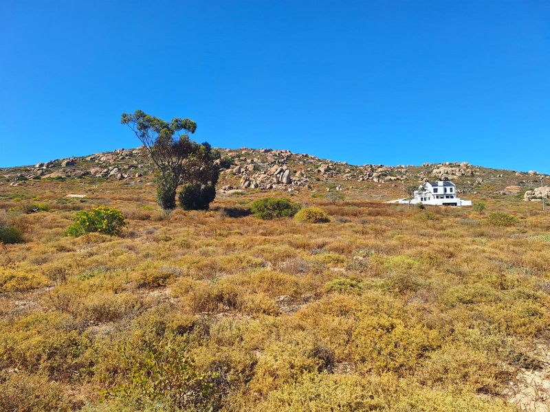 Your own Coastal Haven in Kaptein’s Kloof - Photo 10