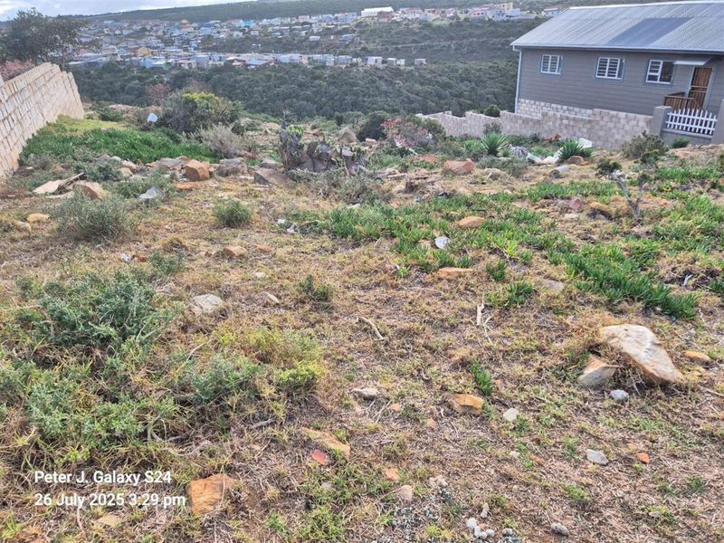 A view of the sloped, undeveloped residential land with a retaining wall and surrounding neighborhood in the background.