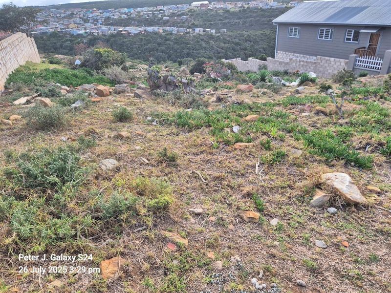 A sloped, undeveloped residential plot featuring natural vegetation, rocky terrain, and existing boundary walls with a view of the surrounding neighborhood.