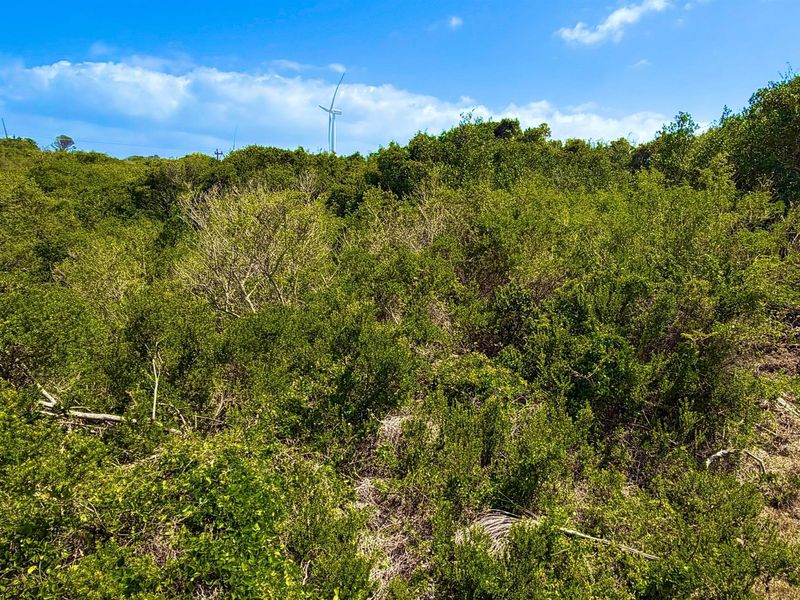 Cul-de-Sac Living in Blue Horizon Bay | Listed by Danté Koen, eXp Realty - Photo 7