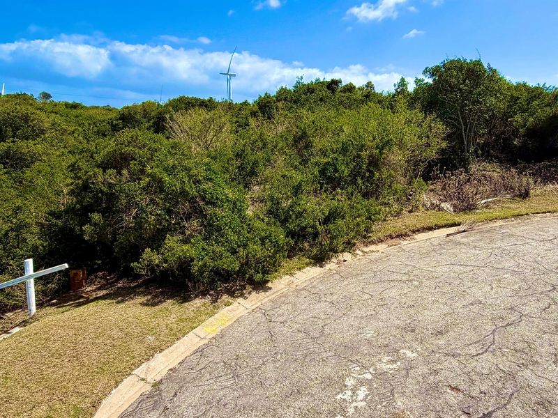 Cul-de-Sac Living in Blue Horizon Bay | Listed by Danté Koen, eXp Realty - Photo 6