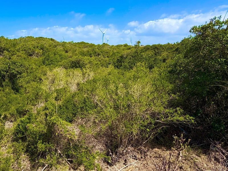 Cul-de-Sac Living in Blue Horizon Bay | Listed by Danté Koen, eXp Realty - Photo 8