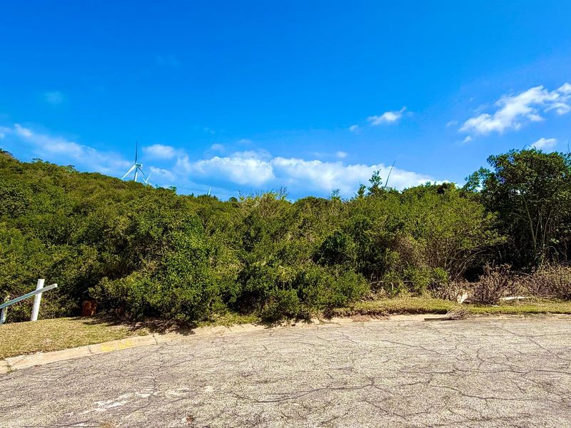 Cul-de-Sac Living in Blue Horizon Bay | Listed by Danté Koen, eXp Realty - Photo 5