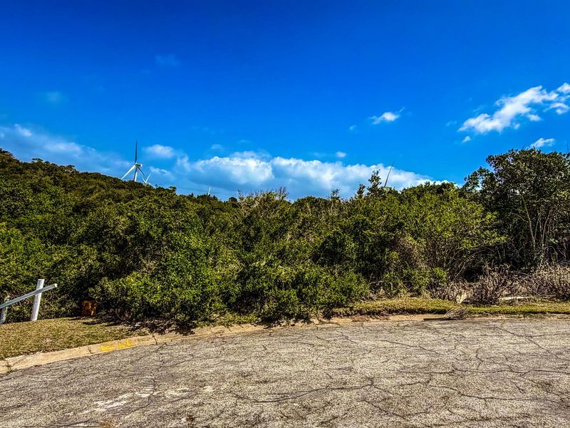 A view of a vacant residential plot featuring natural vegetation and a paved road frontage with distant wind turbines.