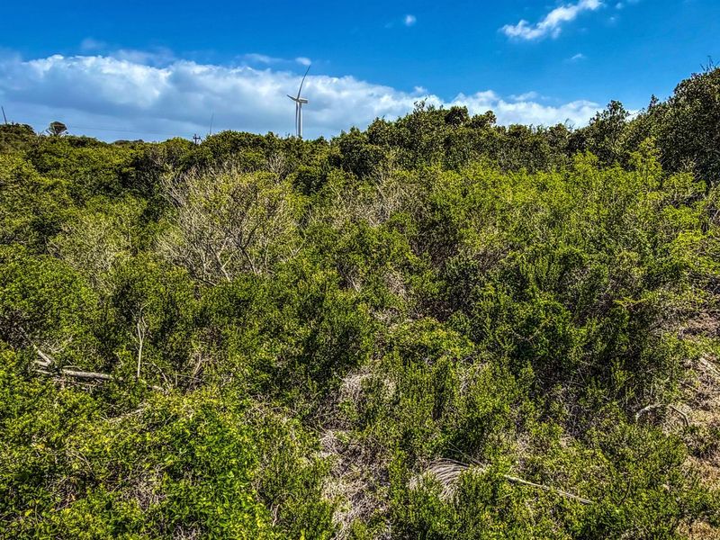 A view of the vacant residential land featuring dense natural vegetation and shrubbery with a distant wind turbine visible on the horizon.