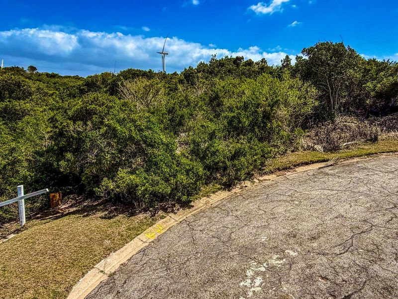 A view of a vacant residential plot featuring dense natural vegetation and an adjacent paved road with visible surface cracking.