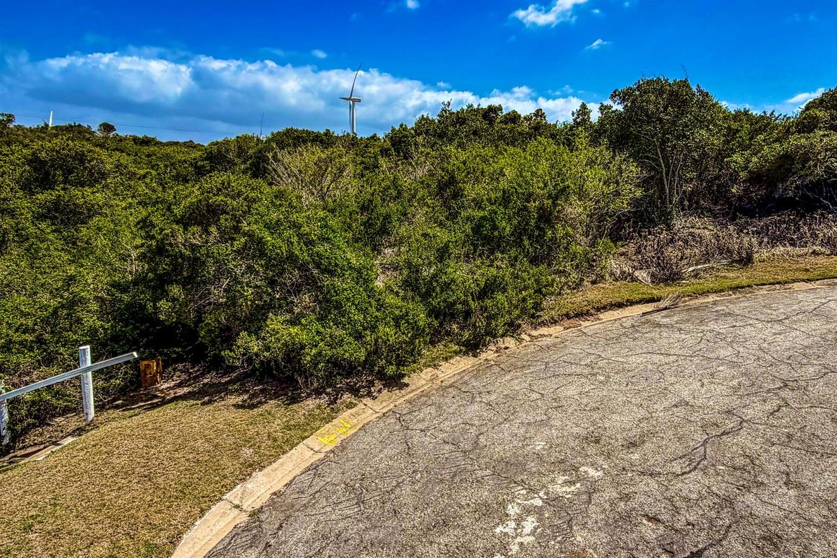 A view of a vacant residential plot featuring dense natural vegetation and an adjacent paved road with visible surface cracking.