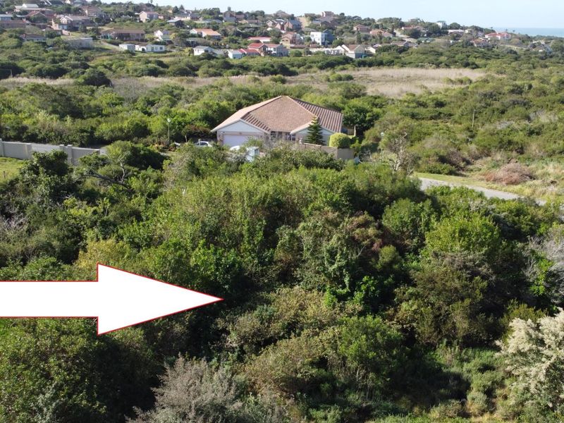 An aerial view of a vacant residential plot covered in dense indigenous vegetation, situated within a developed coastal neighborhood.